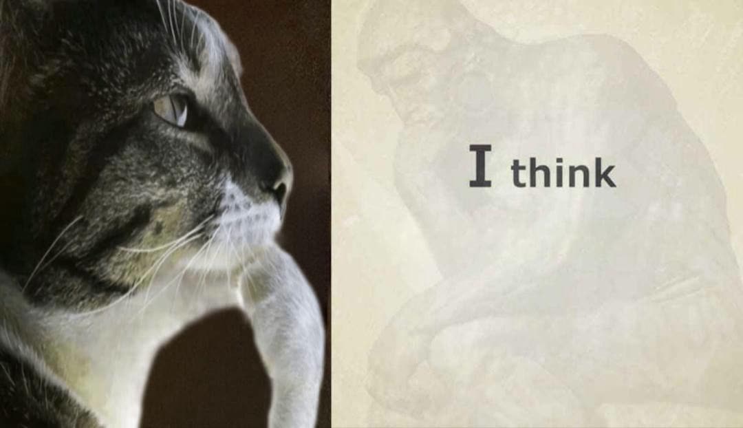 hmm meme