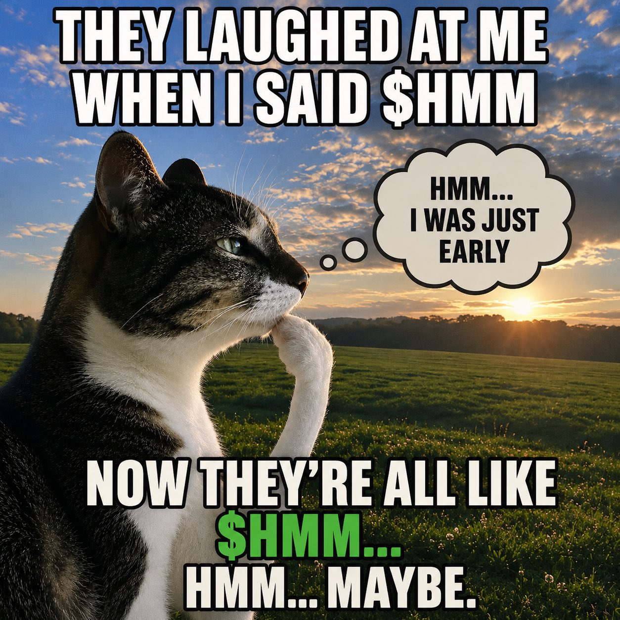 they laughed when i said $hmm